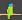 Parrot.jpg