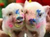 animals_art.jpg