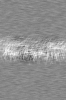 background with scratches.png