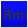 bm2.png
