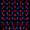 Adams Immersive Softspots.jpg
