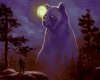 bearclaw-bear-spirit-1000x800.jpg