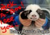 playing with baby panda.jpg
