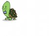 Apple Turtle.JPG