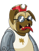 Ze Pug.png