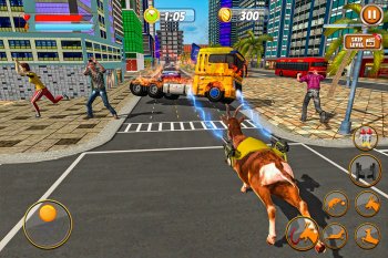 05.jpg