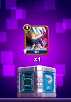 11_ninja.jpg