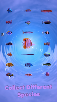 s_2020_08_17 03_16_19 (Custom).png
