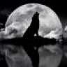 Antwon_95